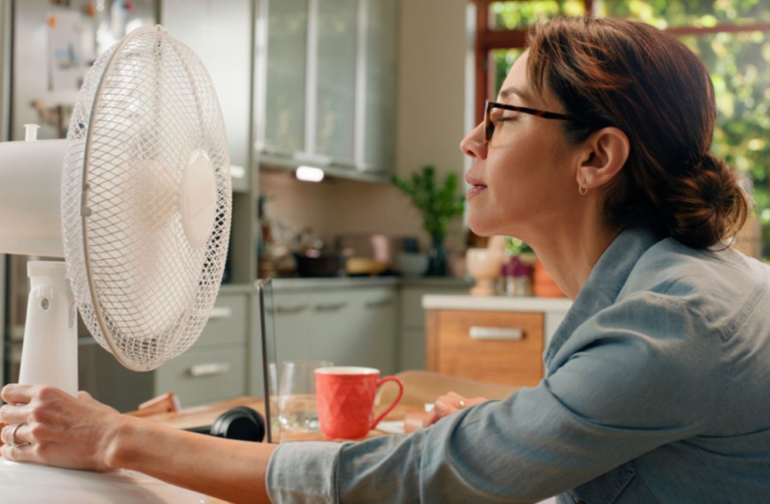 Los mejores ventiladores recomendados por Profeco