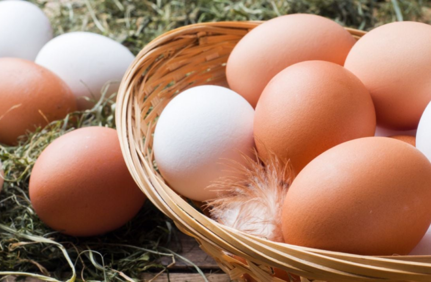 Marca de huevo con mayor colesterol según PROFECO
