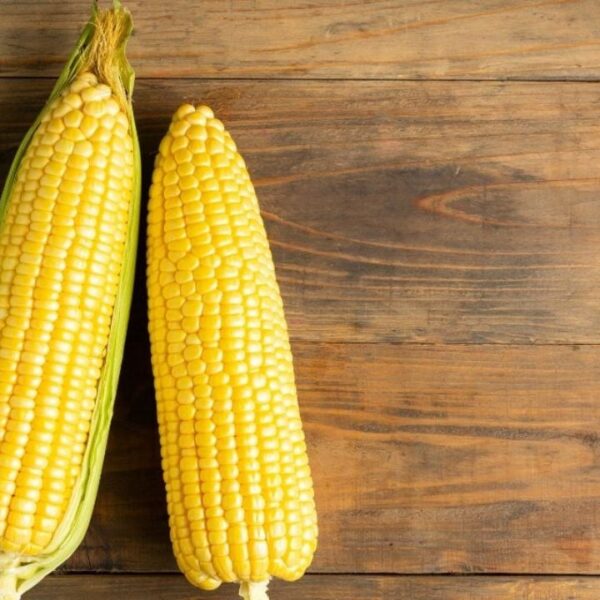 Tiempo ideal para hervir el elote sin perder&hellip;