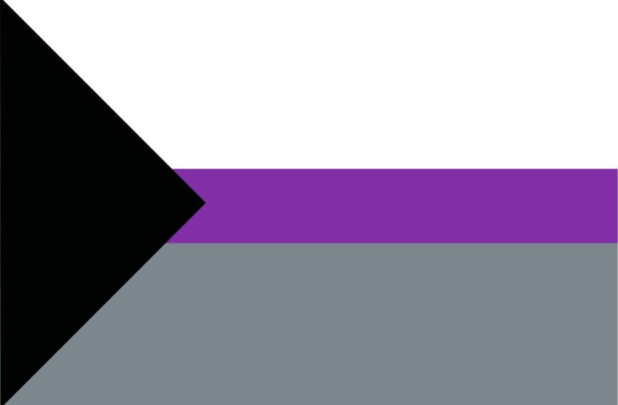 Demisexual: Significado, características y bandera